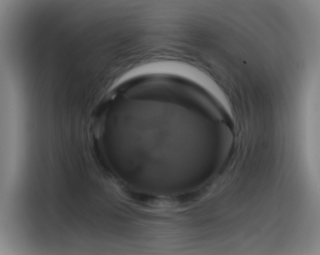 X0000114430223200910161341