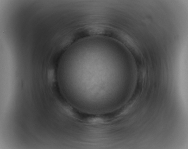 X0000114430224200910161341