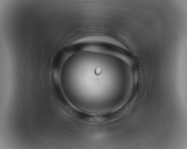 X0000114430225200910161341