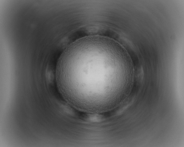 X0000114430226200910161341