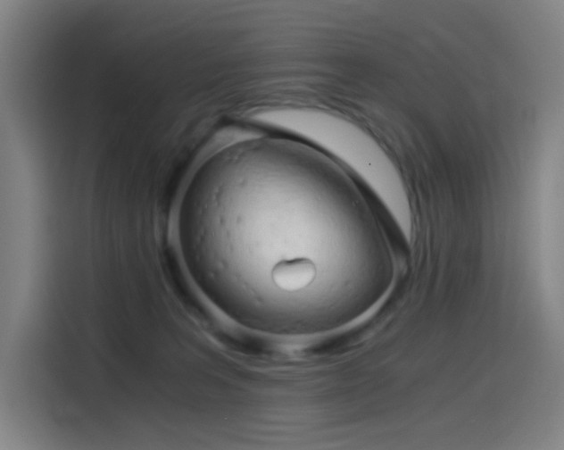 X0000114430227200910161341