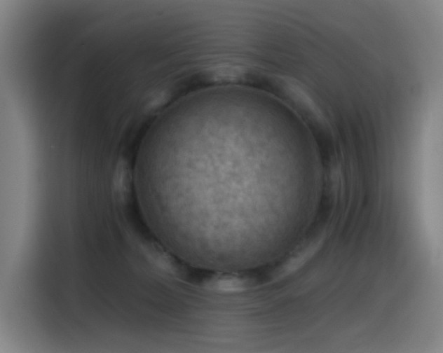 X0000114430228200910161341