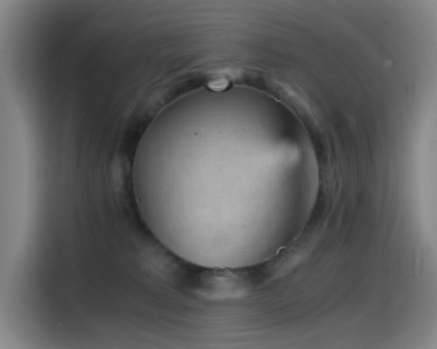 X0000114430229200910161341