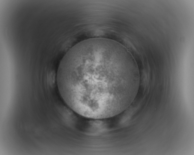 X0000114430230200910161341