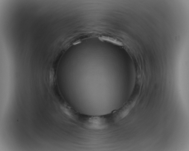 X0000114430231200910161341