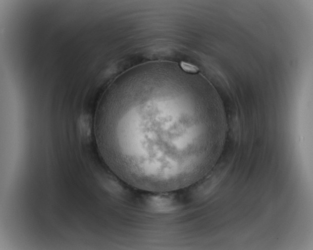 X0000114430232200910161341