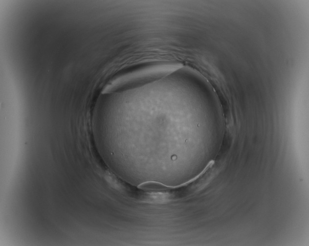 X0000114430233200910161341