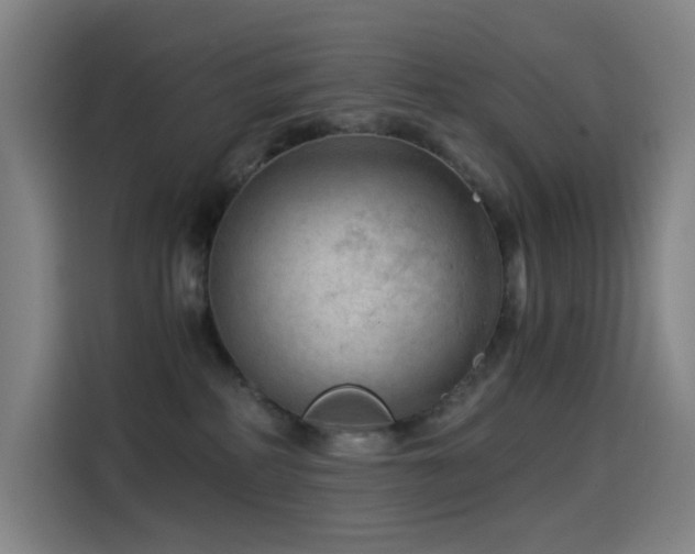 X0000114430234200910161341