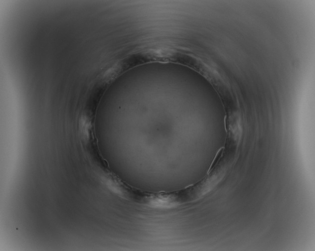 X0000114430235200910161341