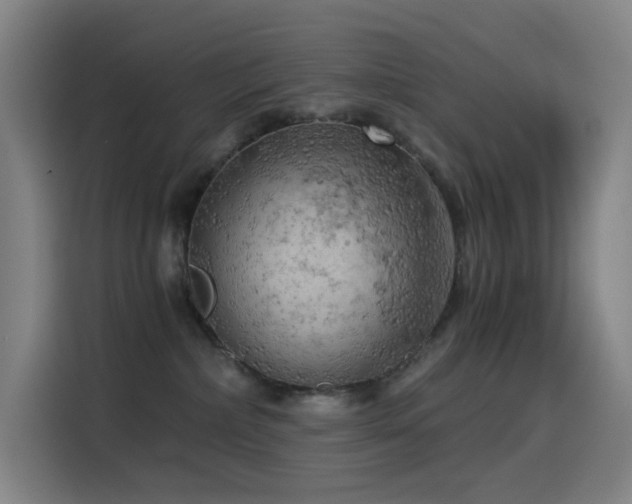 X0000114430236200910161341