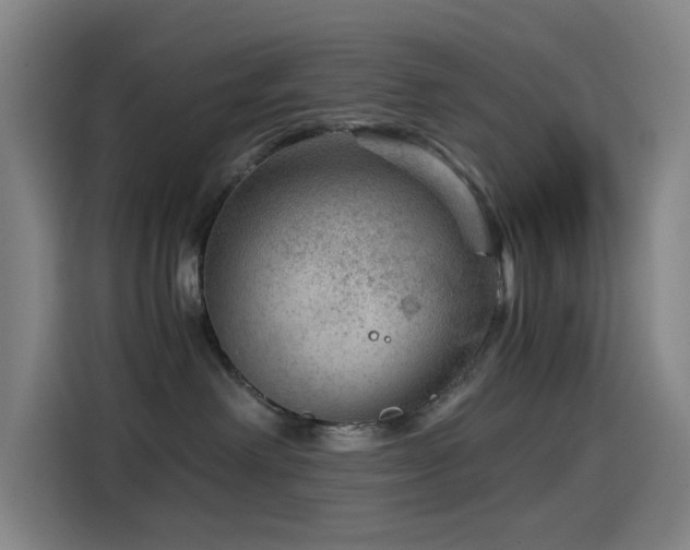 X0000114430238200910161341