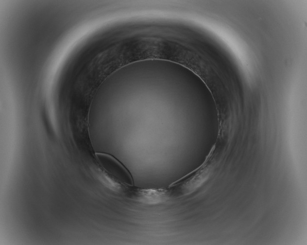 X0000114430239200910161341