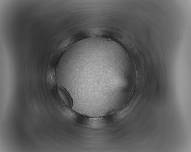 X0000114430240200910161341