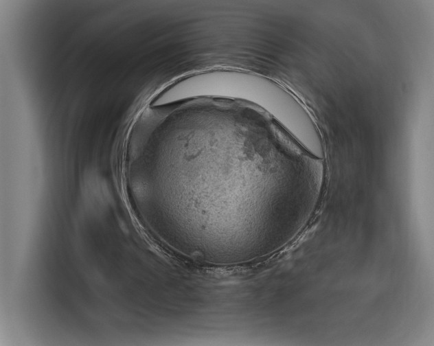 X0000114430241200910161341