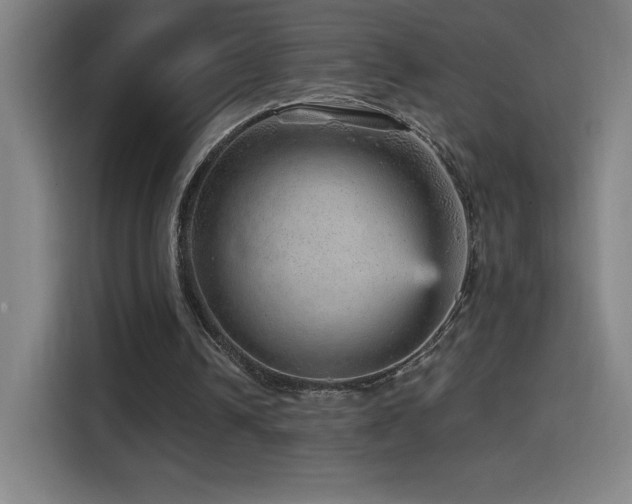 X0000114430242200910161341