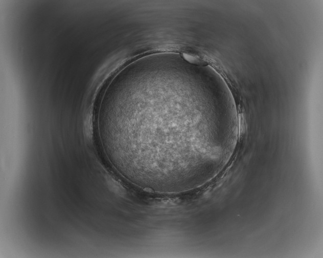 X0000114430243200910161341
