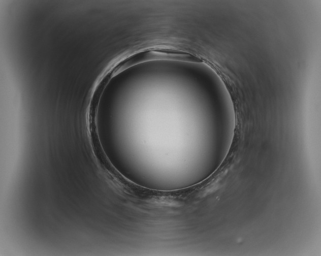 X0000114430244200910161341