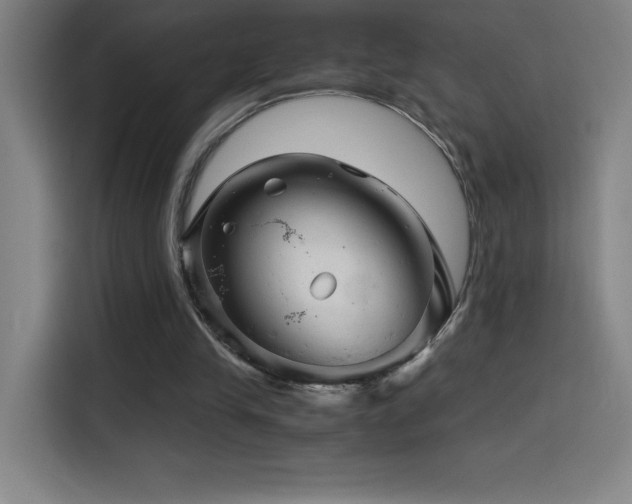 X0000114430245200910161341