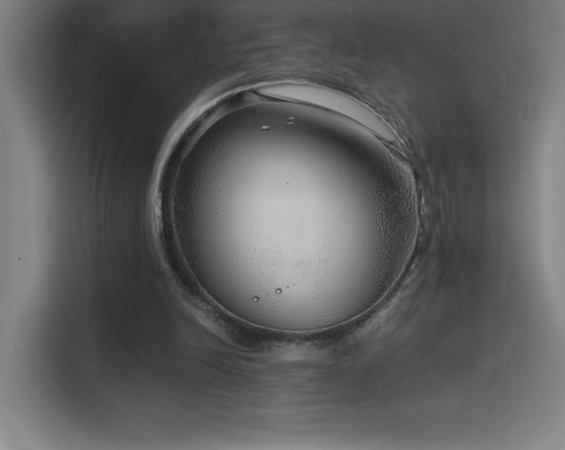 X0000114430246200910161341