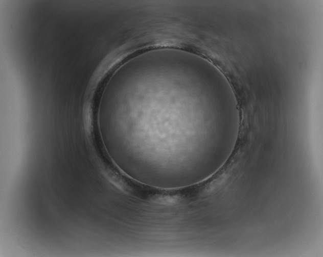 X0000114430247200910161341