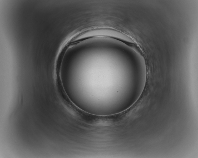 X0000114430248200910161341