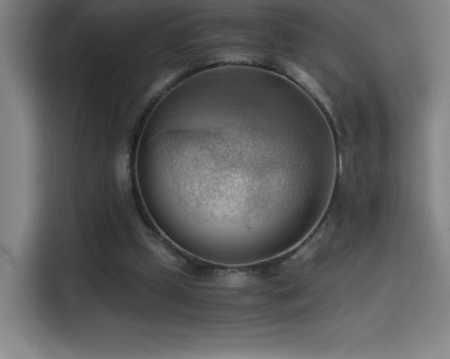 X0000114430249200910161341