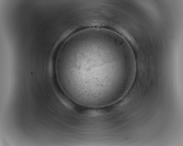 X0000114430250200910161341