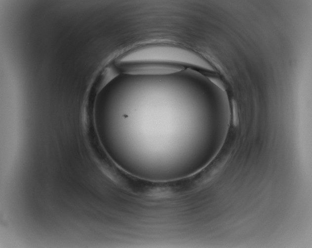 X0000114430252200910161341