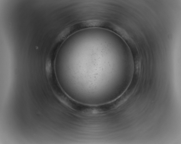 X0000114430254200910161341