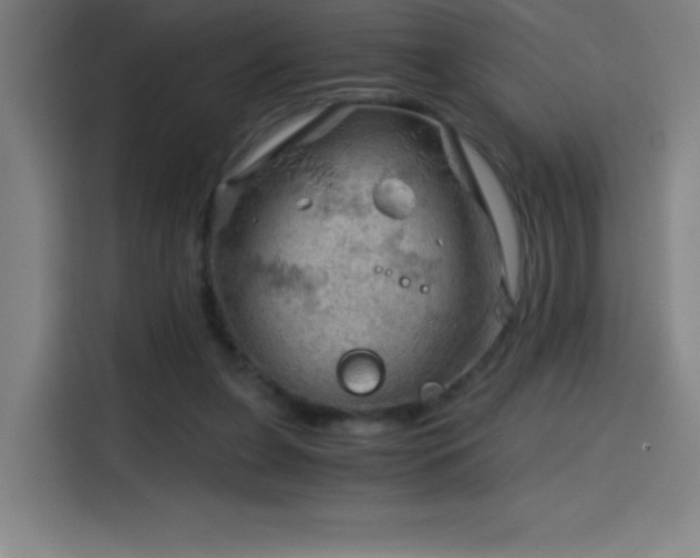 X0000114430255200910161341