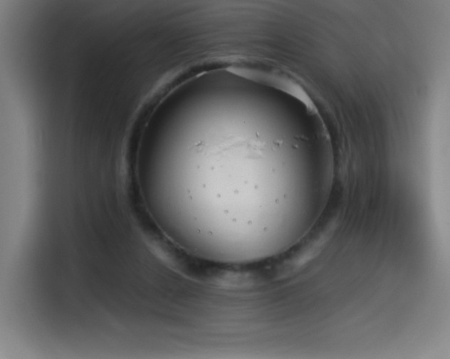 X0000114430256200910161341