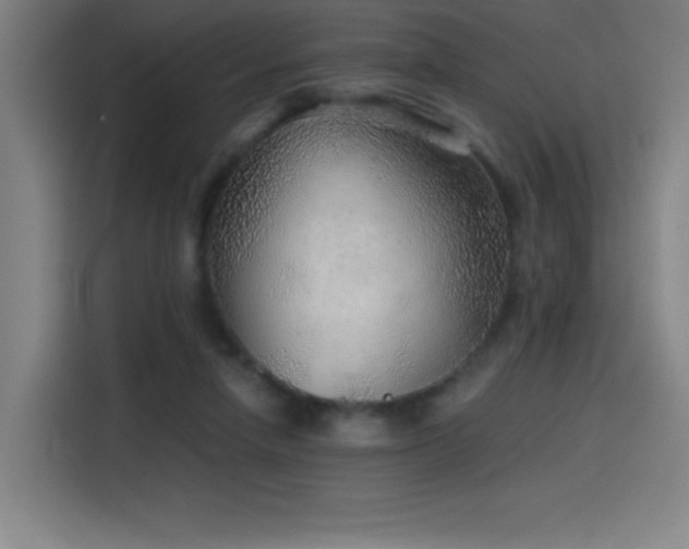X0000114430258200910161341
