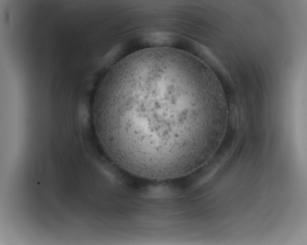 X0000114430259200910161341