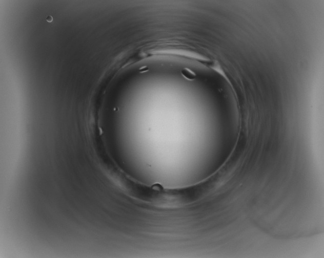 X0000114430260200910161341