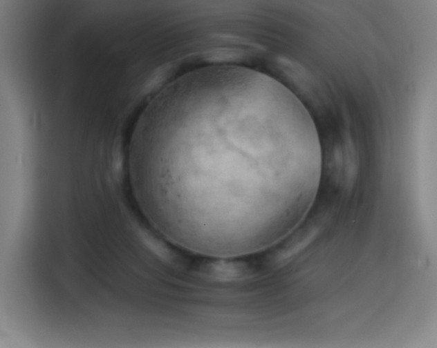 X0000114430261200910161341