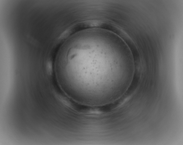X0000114430262200910161341