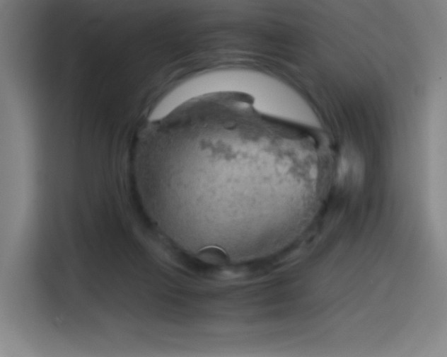 X0000114430263200910161341