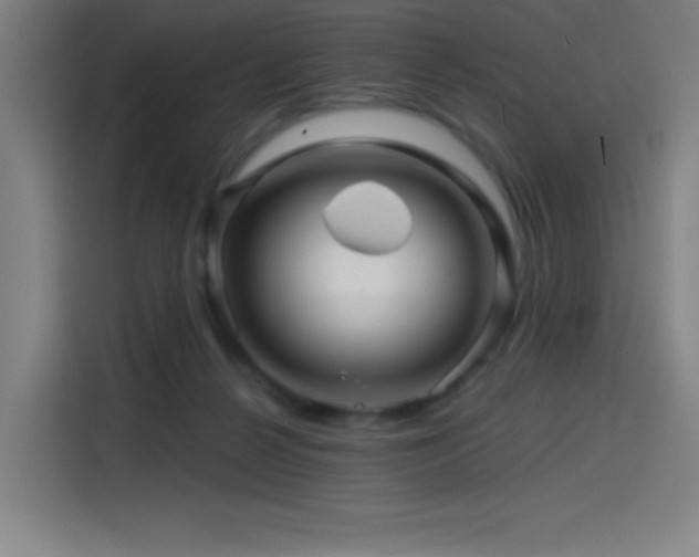 X0000114430264200910161341