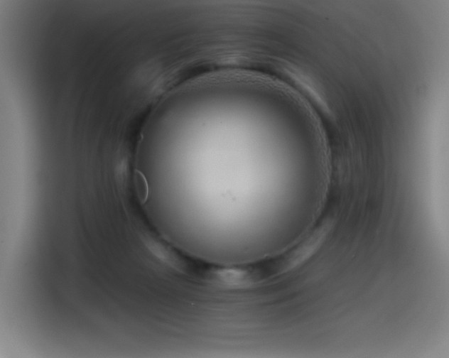 X0000114430265200910161341