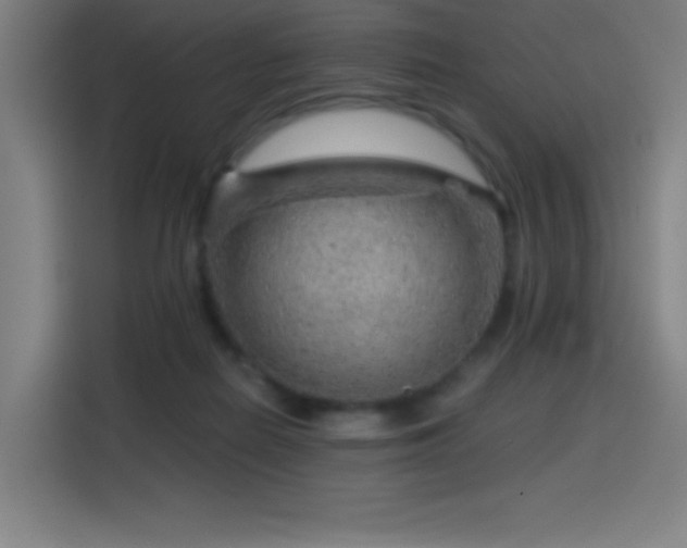 X0000114430266200910161341