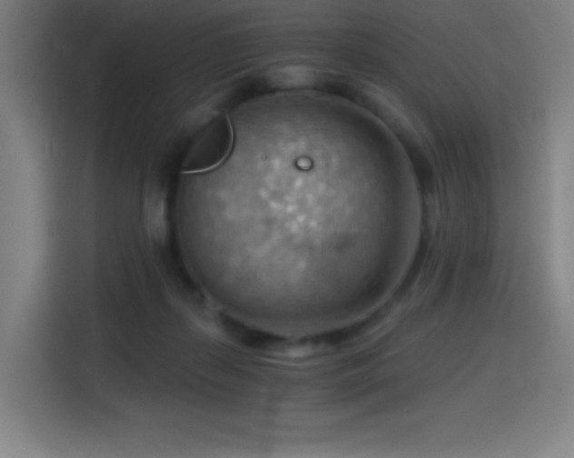 X0000114430267200910161341