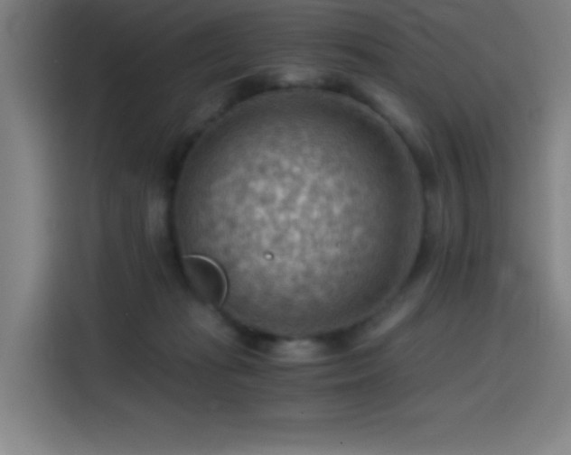 X0000114430269200910161341