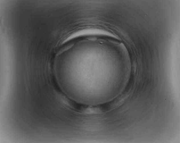 X0000114430270200910161341