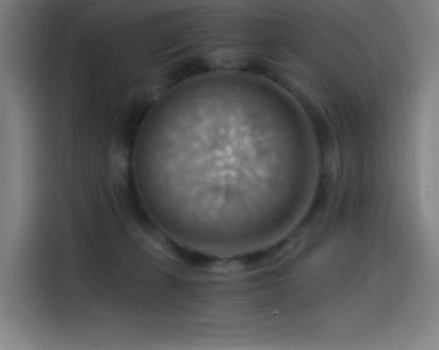 X0000114430271200910161341
