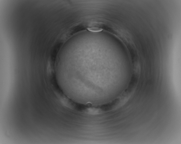 X0000114430272200910161341