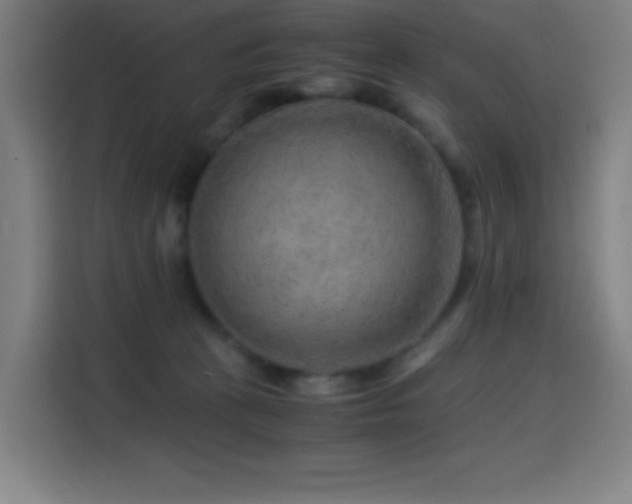 X0000114430273200910161341