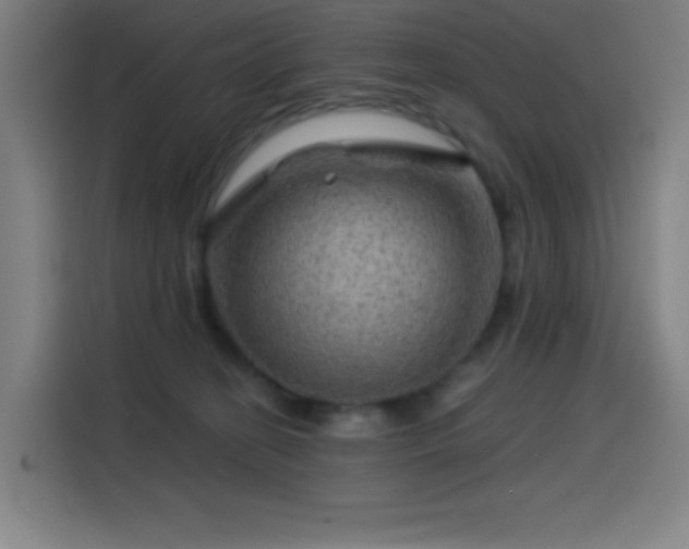 X0000114430274200910161341