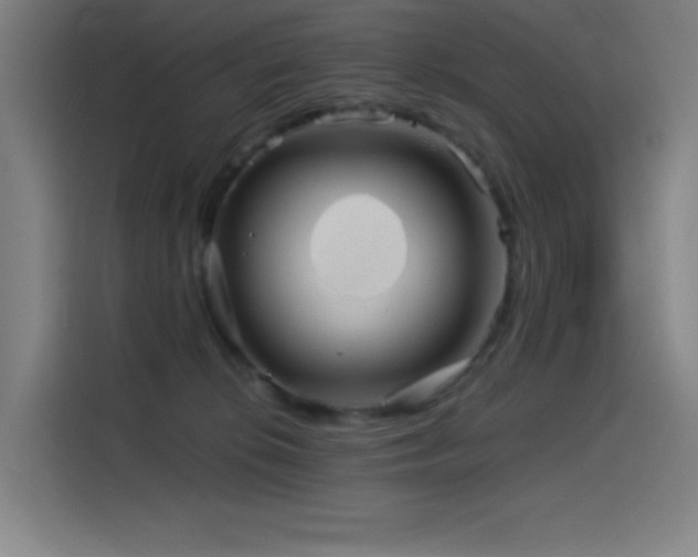 X0000114430276200910161341