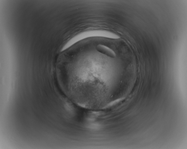 X0000114430277200910161341