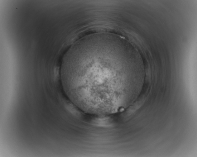 X0000114430278200910161341
